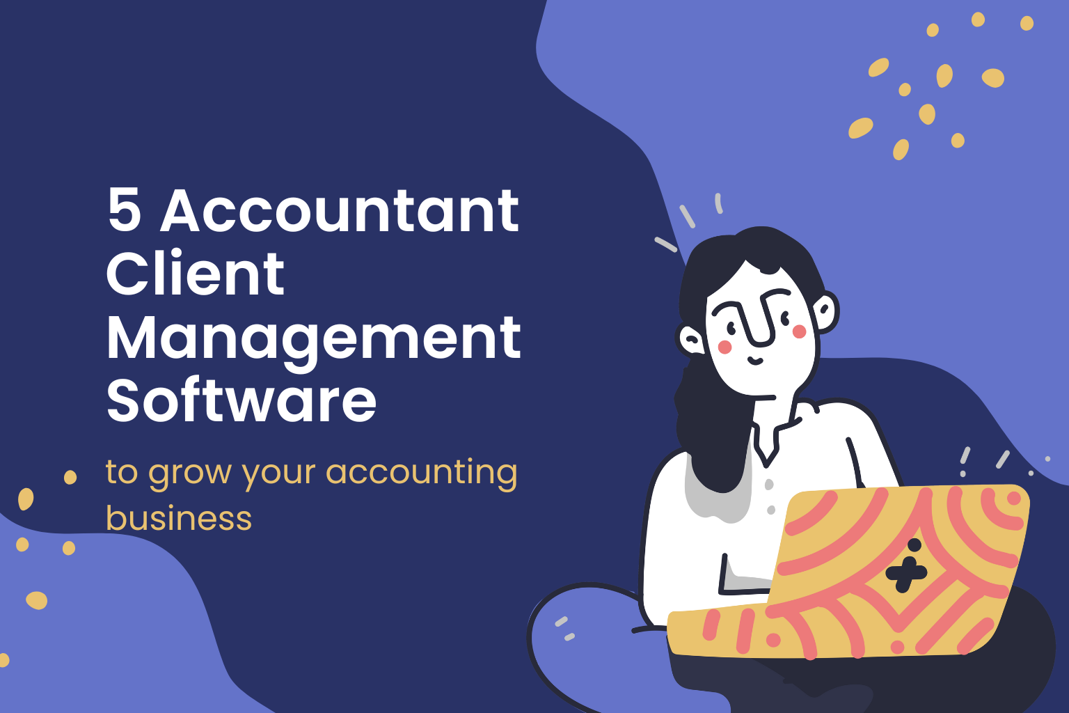 Accountant client management software